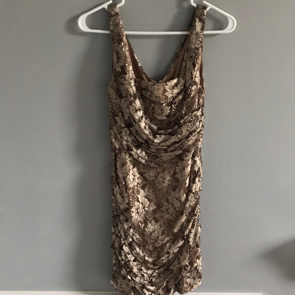 Express lace fitted dress